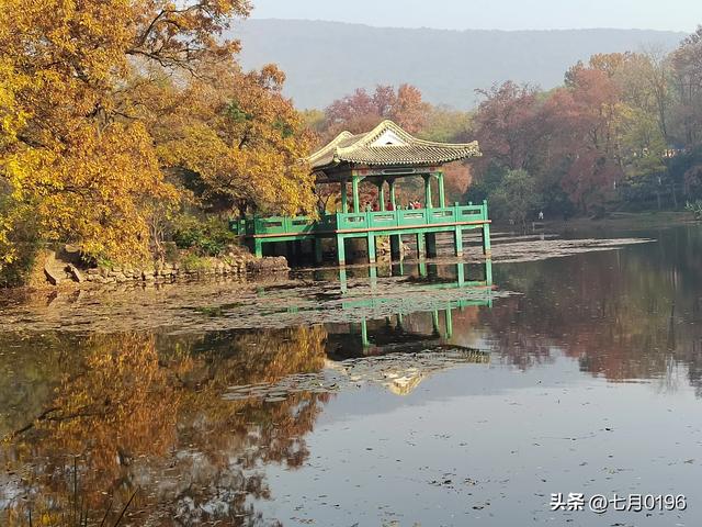 国庆假期，南京钟山风景区开启假期模式，实行交通管制，建议出行