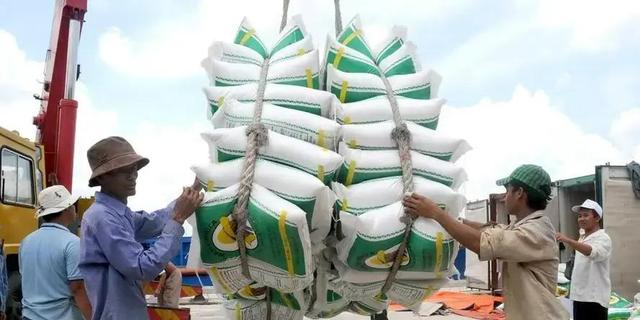 越南33万平方公里，年产4340万吨大米，黑龙江面积47万	，产多少？