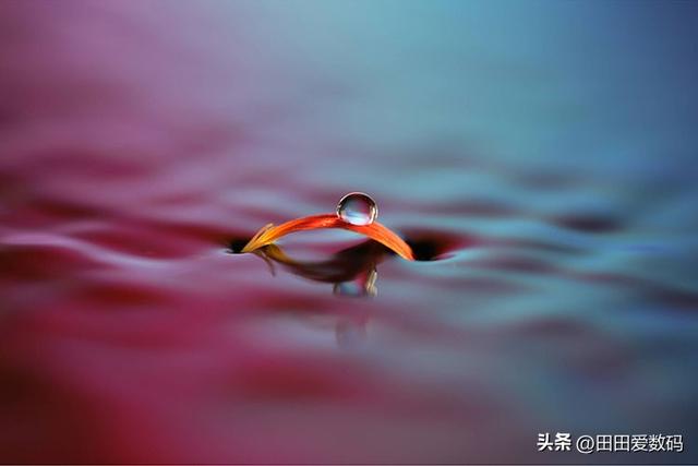 Sony 100mm F2.8 Macro GM 登场！ 接上增距镜轻松实现 2.8x 放大！