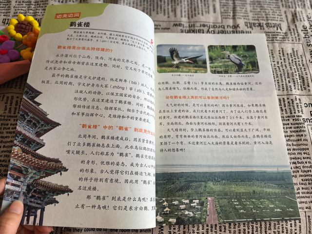 普通家庭国庆节就不要花大量的钱带孩子去旅游了，真的见不了世面