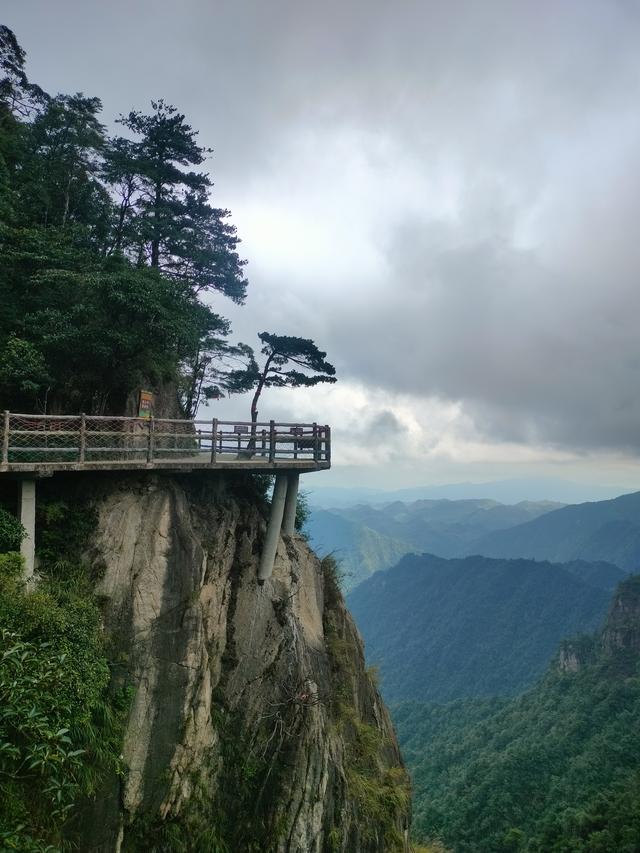 湘粤赣之旅（三）：莽山记