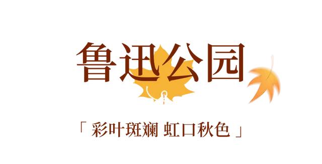 周五宠粉日｜枫叶红“疯”了！沪上市区赏枫运动好地分享，更有运动好礼等你来领！