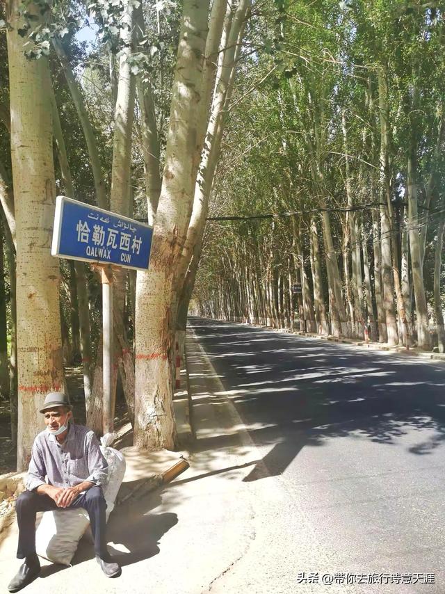 昆仑山上一棵草，昆仑山下核桃王