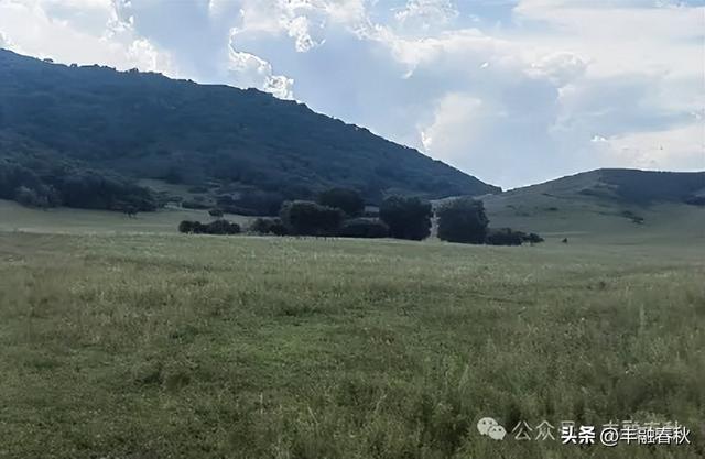 辽阔的乌兰布统草原｜ 李芳