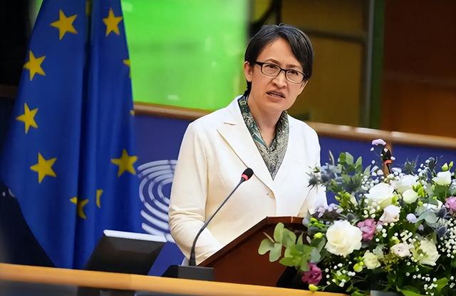 请求逮捕我，沈伯洋窜德发挑衅，不到24小时，大陆再对台独出重拳