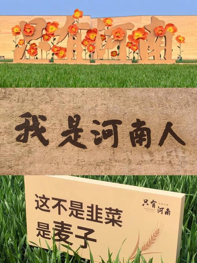河南凭啥这么“中”？土味自嘲到胖东来、蜜雪冰城，背后真相曝光
