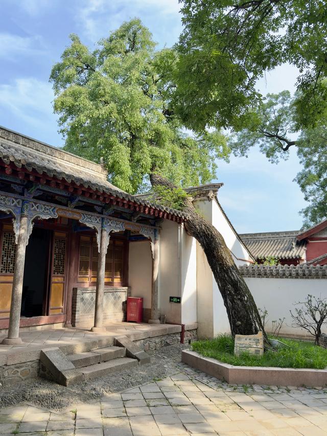 南山有嘉木（天水南郭寺）