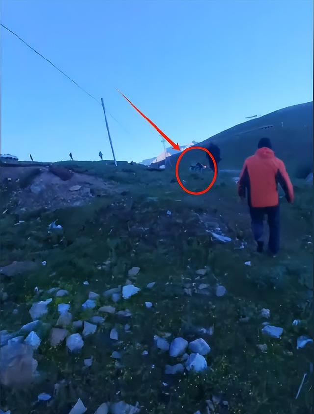 广东越野车西藏意外坠崖，藏族姑娘挺身而出，网友怒赞，文旅回应