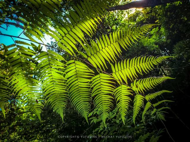 丰良九龙瀑布攻略