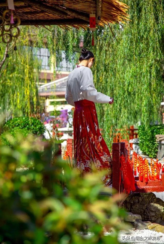 【乐游烟台】周末好去处丨被烟台家门口的赏秋徒步地，美哭了！