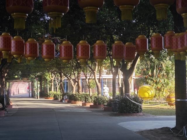 龙华新“骑”点，奔向2026骑行随拍1129