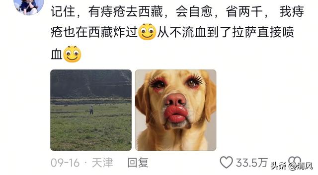 笑麻！游客去趟西藏痔疮遭大罪了，网友喊话西藏文旅