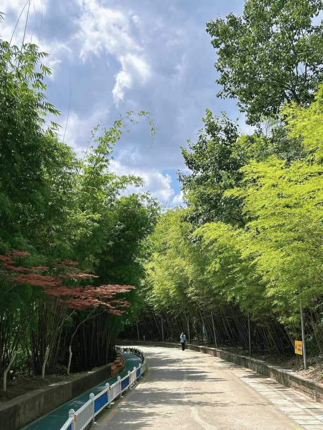 14个免费公园遛娃全攻略：看猴、玩水、露营、徒步一次集齐！速藏