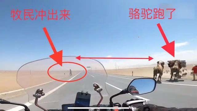 青海牧民"社会性死亡"：掌掴游客，过往黑历史被扒，不止一次嚣张