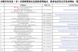 合肥中小学教师资格认定，最新消息图片