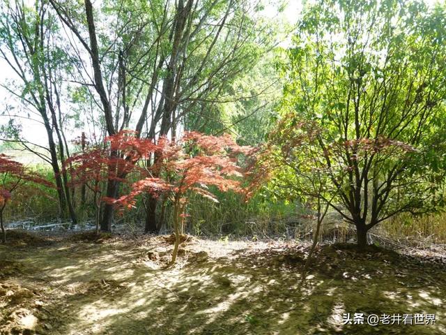 骑车环游太白湖 文井明新