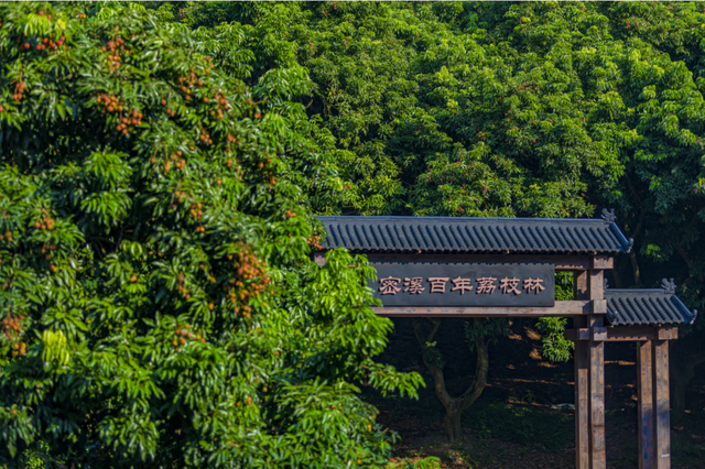 旅游新宠！成都最快1h可达的10个川内宝藏县城，景色封神！好吃好耍！你最想去哪个？