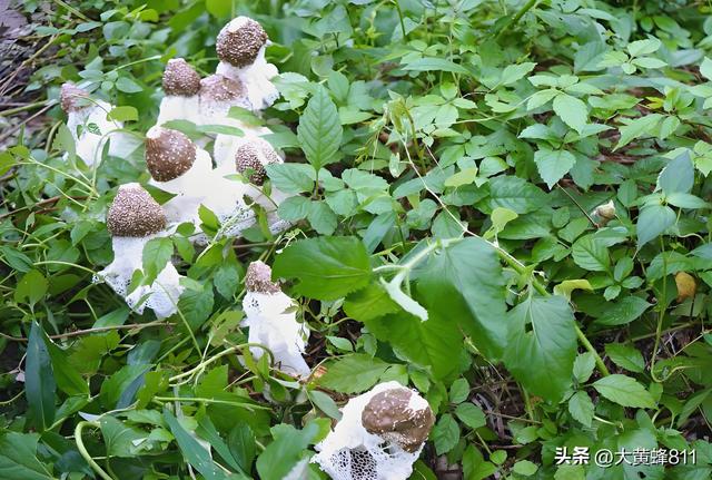 认识大美广东的每个县——第27波：封开