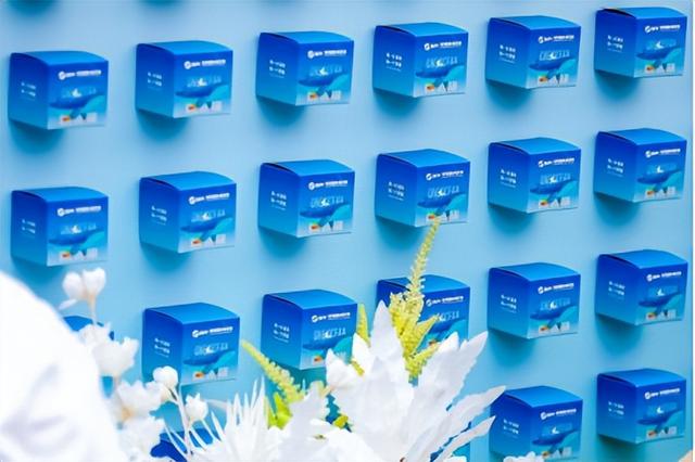 2025深圳国际海洋周“休闲海洋”板块圆满收官