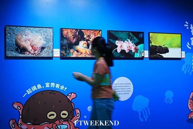 手机内存撑不住了！都怪这条Citywalk路线太好拍（文末福利）