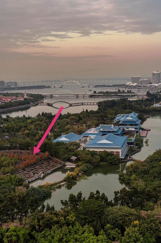 厦门五缘湾迷宫，位于五缘湾湿地公园，厦门最大的户外木栈道迷宫