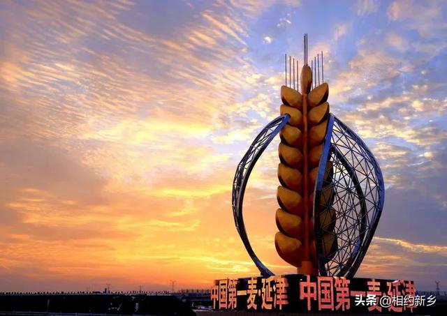 这个秋天,回“乡”看看