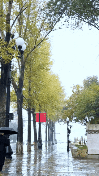 初雪邂逅老街，长春新民大街的冬日叙事即将开始