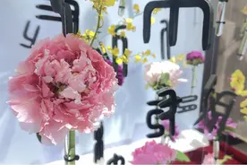 绝美！牡丹鲜花艺术景观亮相世界牡丹大会主会场图片