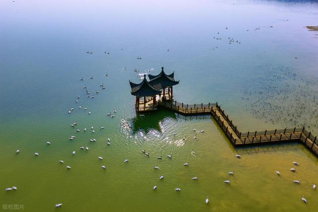 生态画卷徐徐展开，你能认出这是山西什么地方？