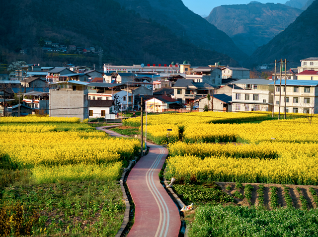 青睐绵阳 || 这个春天，来平武赴一场Color Walk