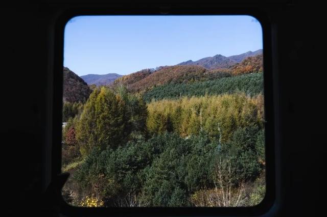 窗外是五花山！东北的这趟列车，当季要火！