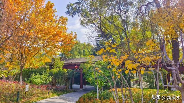 摄影师看麦积 | 马跑泉公园冬日风光美