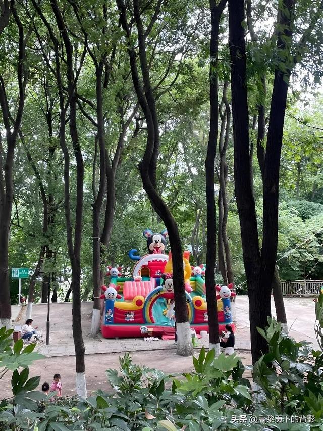 金秋漫步河滨：一座公园里的城市呼吸