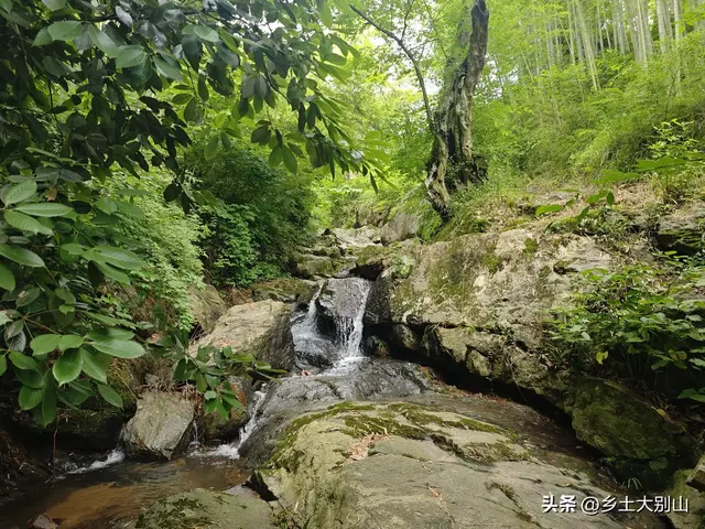 藏在大别山里的青檀古道，如今很多人不知道这条古道了！