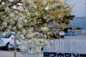 信仰有温度，专业有前途！吉林大学马克思主义理论专业，带你攀登思想之巅！图片