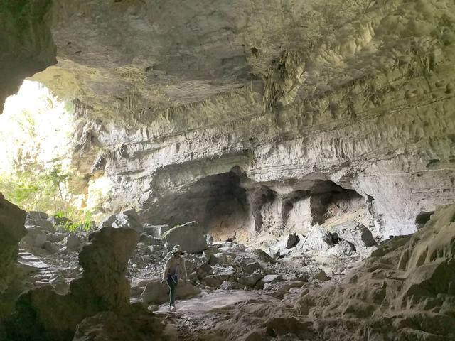 带小朋友去贵州茂兰，连环探洞加漏斗原始森林徒步二日游全攻略！