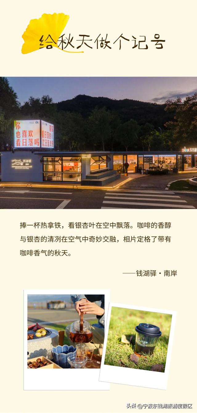 一场迟到的银杏雨，给钱湖南路染上了秋天的颜色~