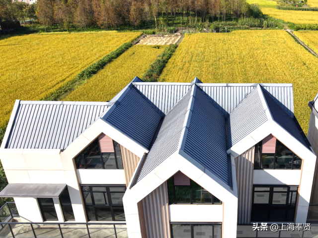 ​​诗游五四村：来一场诗词与金色田园​的浪漫邂逅