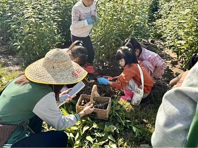 即将进入“高铁时代”的宝藏小城！三十六计，风味人间，爱了爱了……