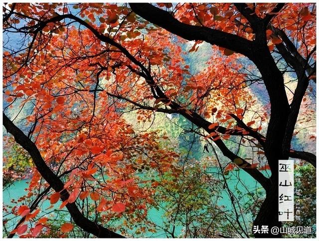 三峡红叶景区游玩攻略2025