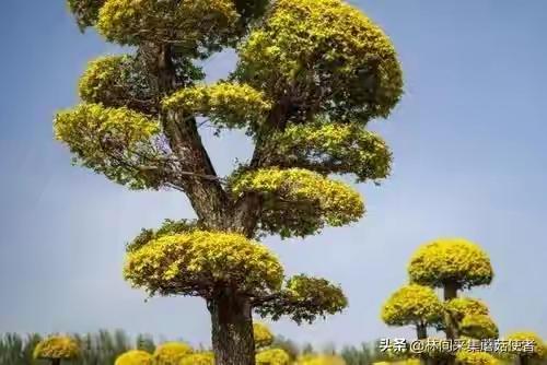 两性关系：50岁后，女人其实不怕你占便宜，就怕你做到这一步