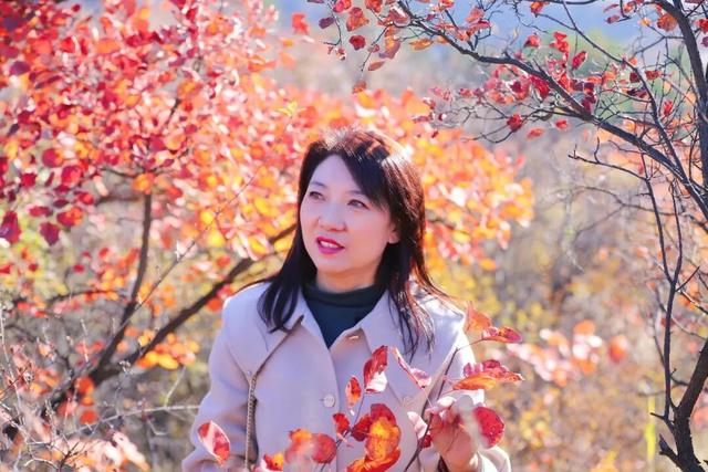 渑池坡头红叶拍摄记：一场迟来的秋日邂逅