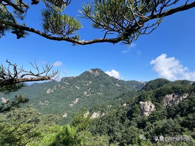 人间仙境南阳市西峡县老界岭避暑散记：寻一方清凉，品山野之味