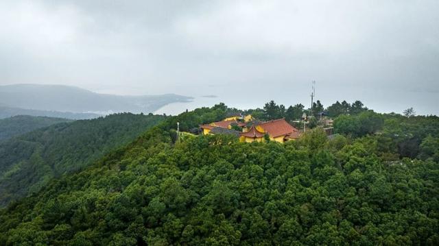 真的很美！2025苏州太湖观鸟超详细攻略来啦！