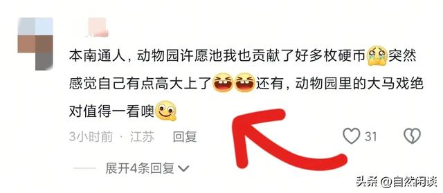 南通一动物园将许愿池里的硬币全部捞空,知道真相后网友们哭了