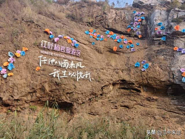 无为在歧路，柿岩之红叶