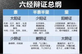 胡希恕六经体系辨证思路图片