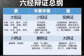 胡希恕六经体系辨证思路图片