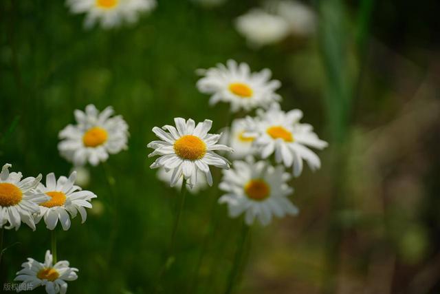 退休2年了，说说最近发生的事情