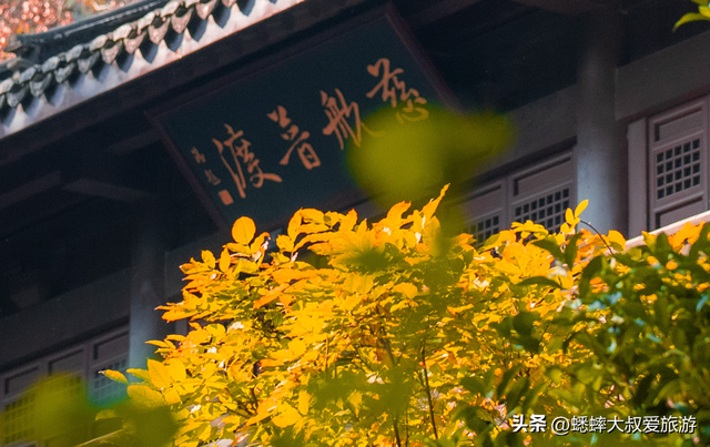 杭州秋冬3日游自由行攻略：好玩好逛好拍，建议收藏！